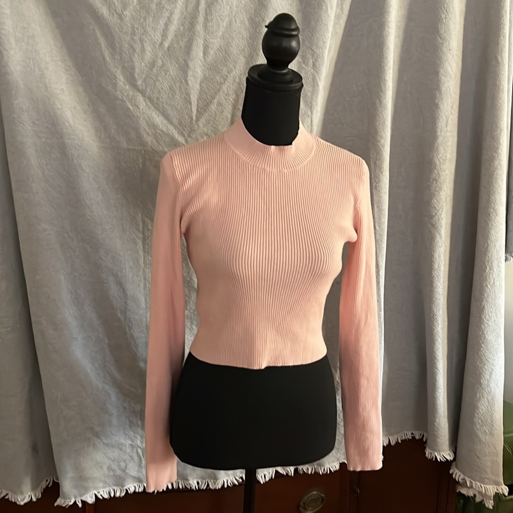 Brandy Melville Light Pink Ribbed Crop fitted sweater  mock neck ribbed sweater.